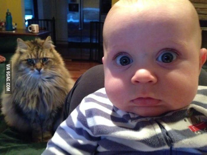 Смешные картинки