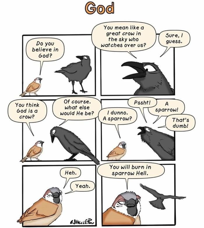 Мемы про ворон