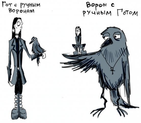 Смешные вороны