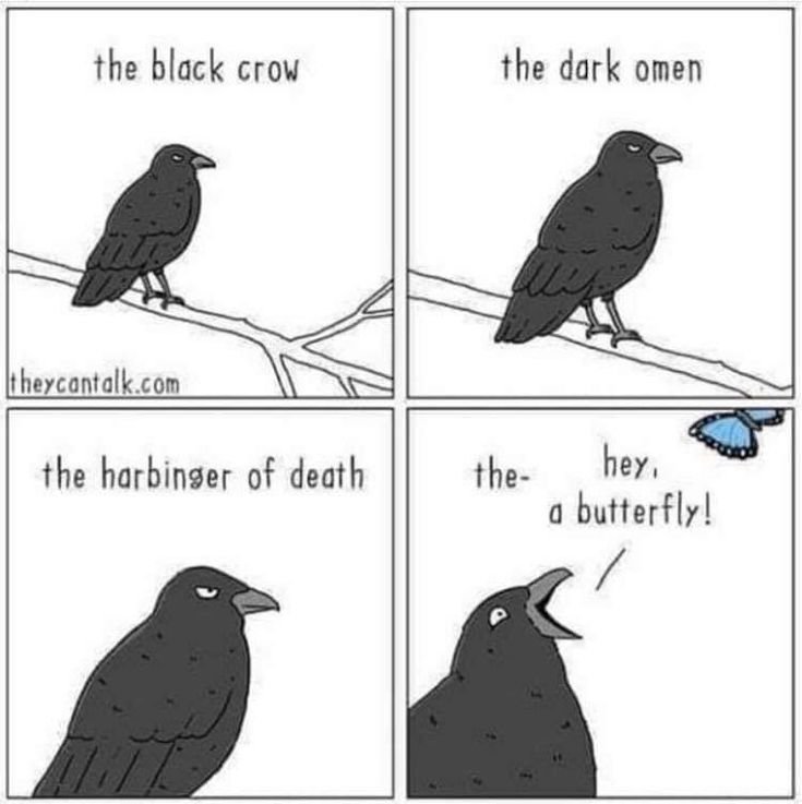 Смешные вороны