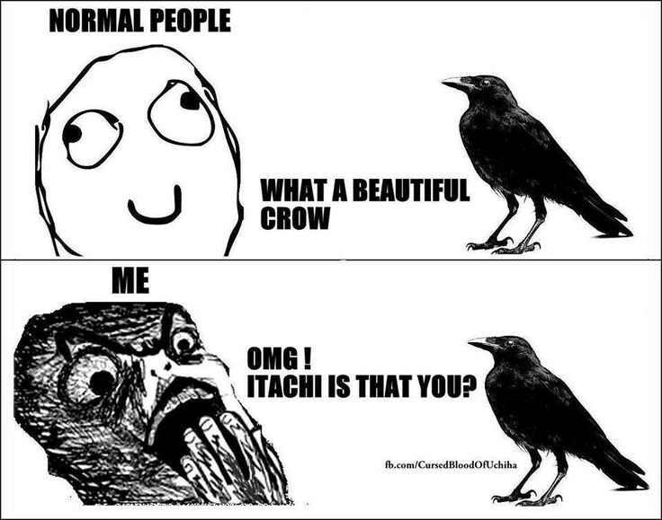 Про ворону и девушку