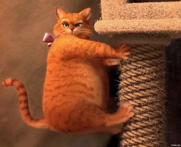 Кот из Шрека