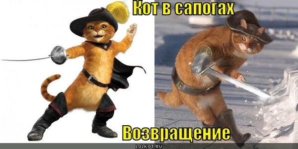 Кот в сапогах смешной