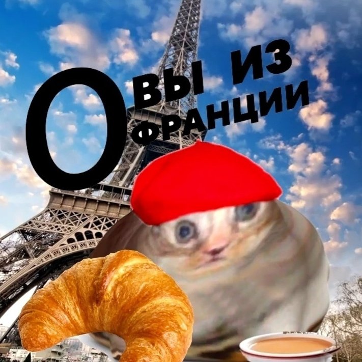 Да вы из Франции Мем