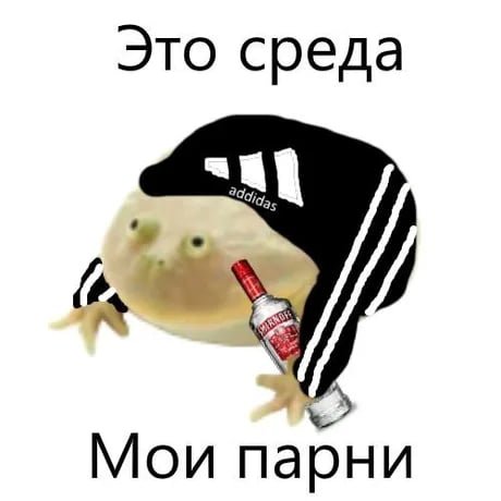 Жаба среда