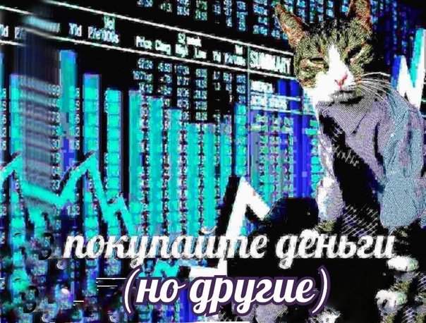 Кот с деньгами Мем