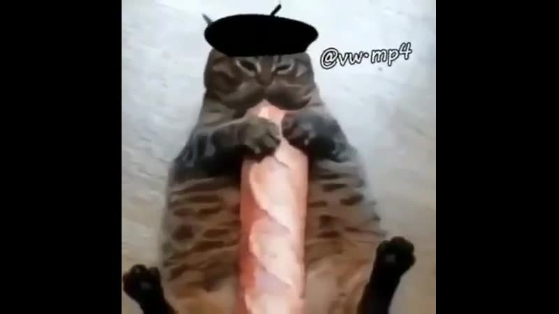 Французский кот с багетом