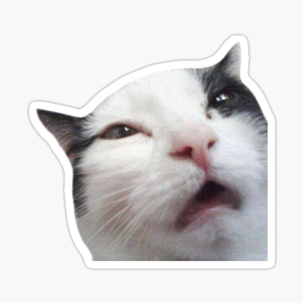 Стикеры коты мемы