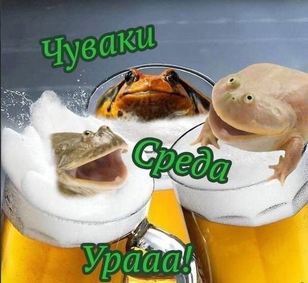 Среда чуваки жаба