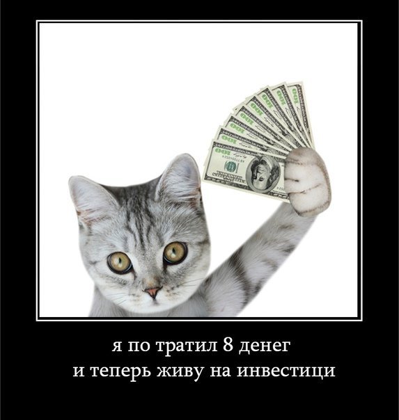 Кот с деньгами мемы