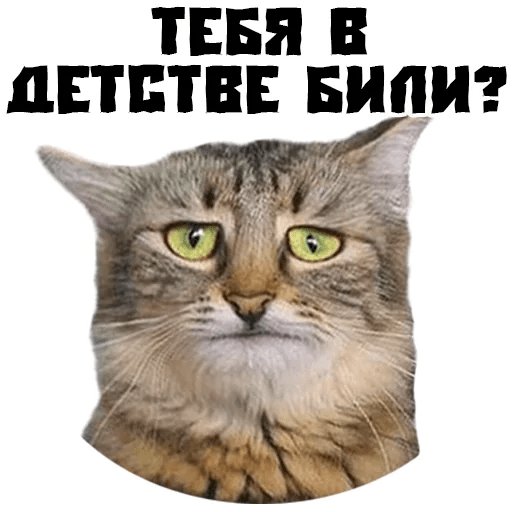 С котами телеграмм