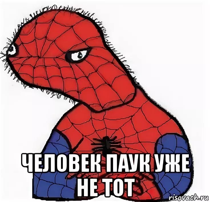 Паук Мем