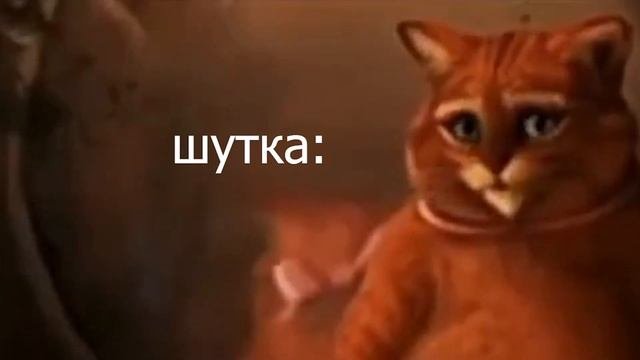 Шрек жирный кот