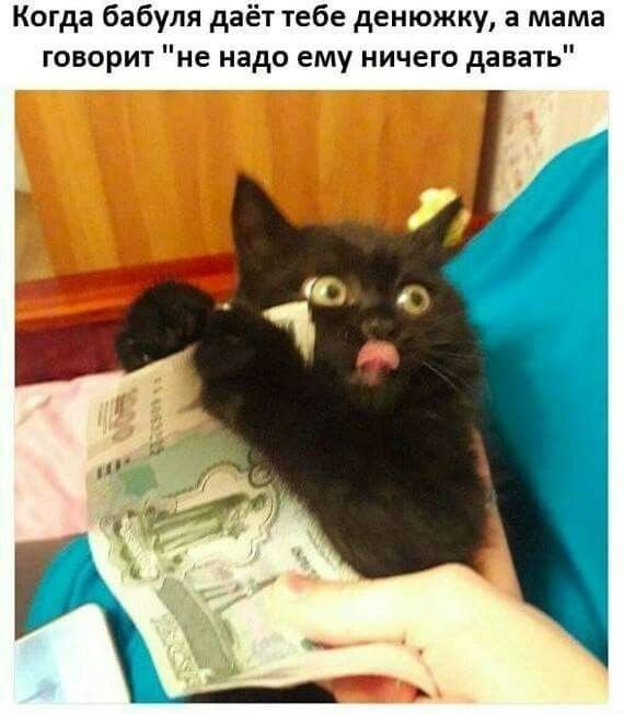 Черный кот с денежкой