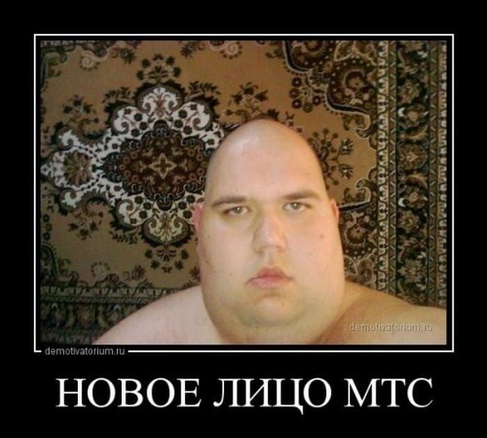 Шутки про лысых