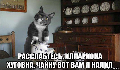 Добро пожаловать кот Мем