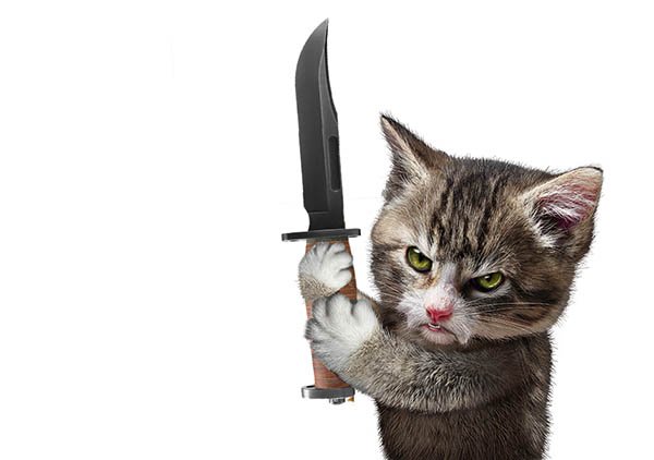 Котик с ножиком