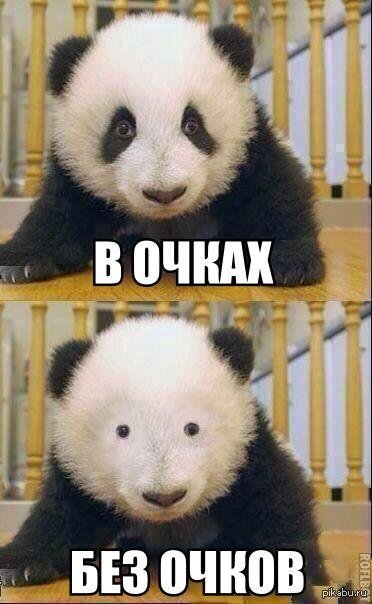 Панда с черными кругами и без