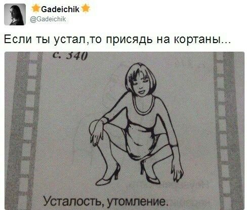 Открытки прикольные про корточках