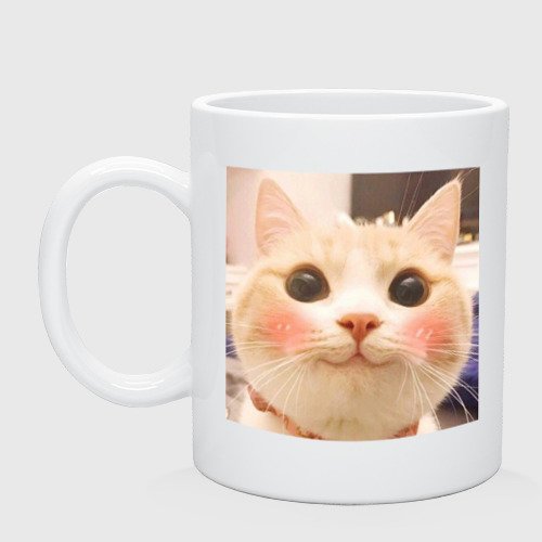 Мемы на кружку с кошками