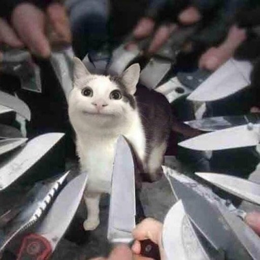 Кот окруженный ножами