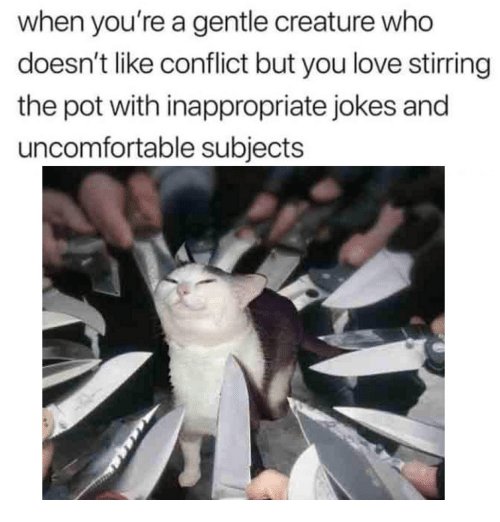 Мем коты с ножом