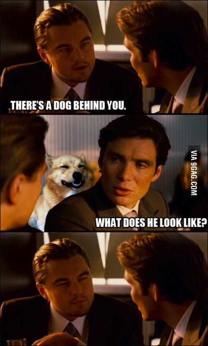 У тебя собака