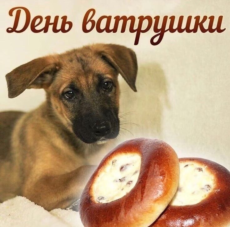 День ватрушки открытка