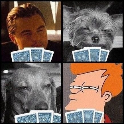 Собака подозревака ди Каприо