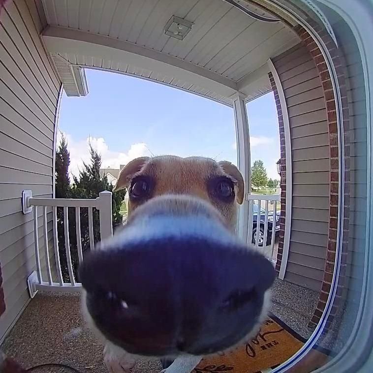 Вид через дверной глазок