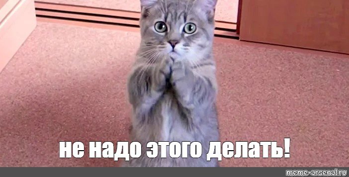 Просящий кот