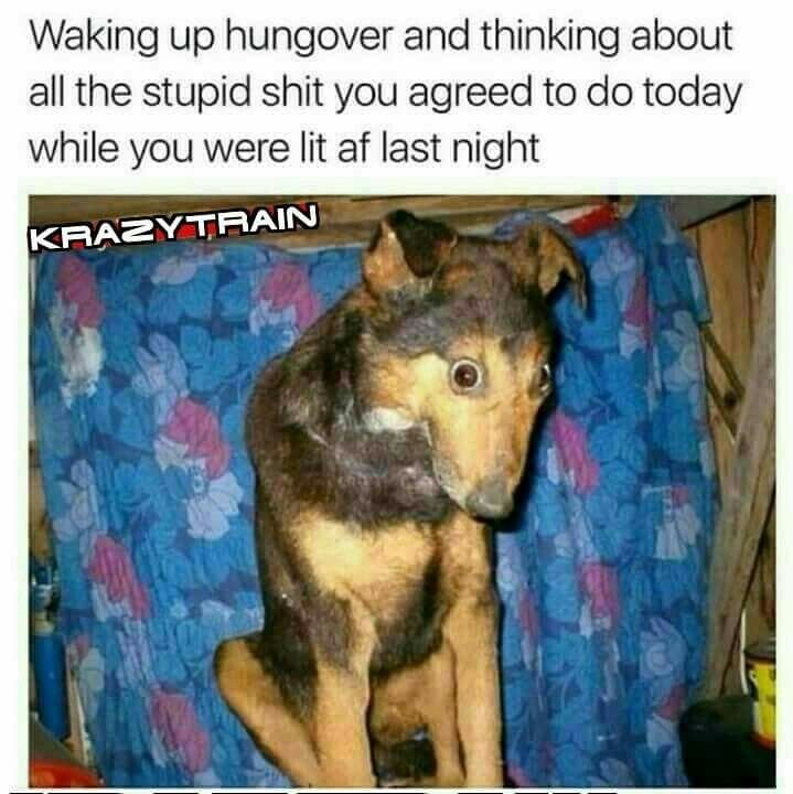 Упоротая овчарка