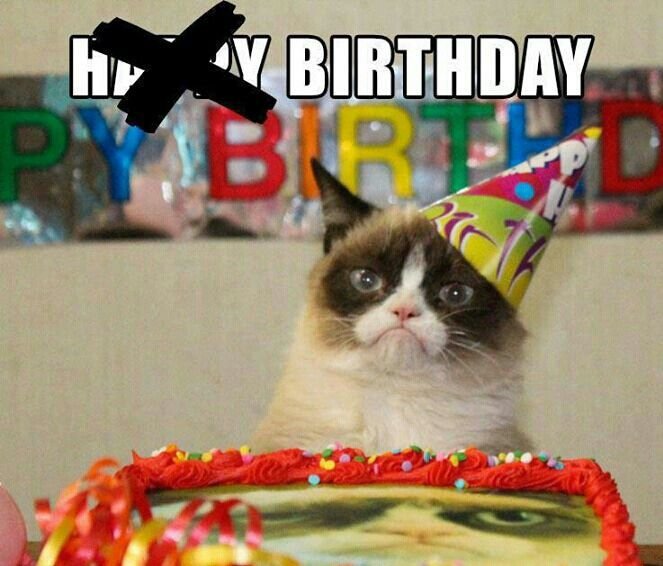 Шарик недовольный кот