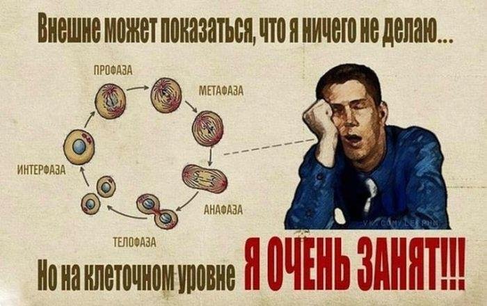 Занятой человек