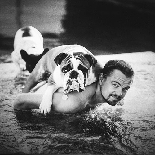 Леонардо ди Каприо и его собака