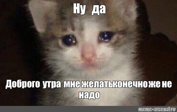 Грустный кот со слезами