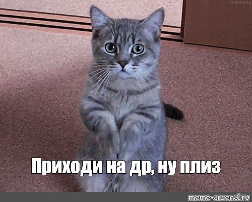 Ну пожалуйста картинки