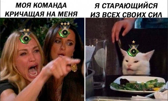 Мемы с котом и салатом