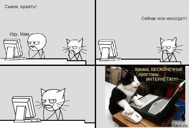 Котик хакер