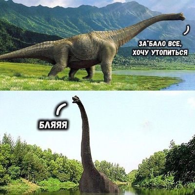 Мемы про динозавров