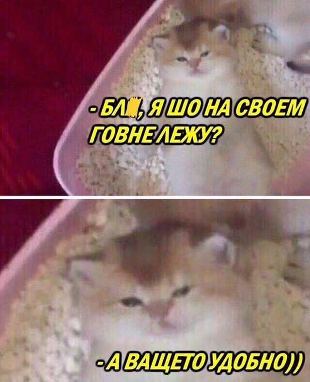 Джоне одумайся ты лежишь Мем