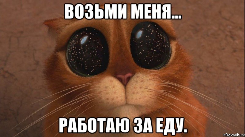 Кот в сапогах глаза