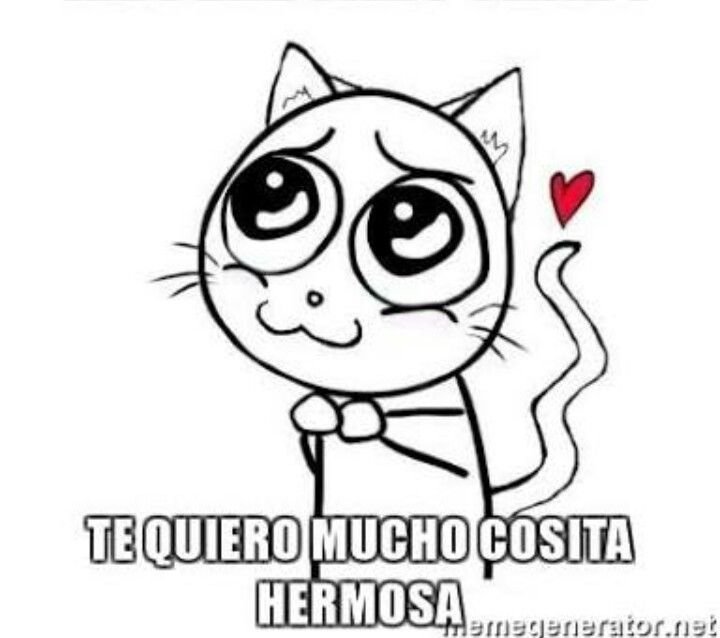 Котик пожалуйста