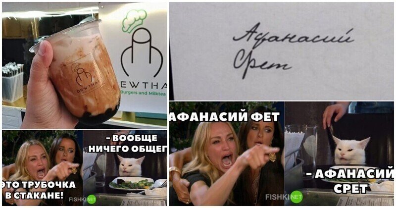 Котик девушки