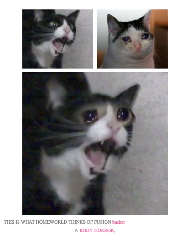 Мем с котом прикрывает лицо