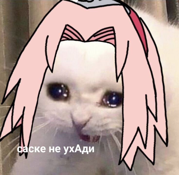 Сакура котик Харуно
