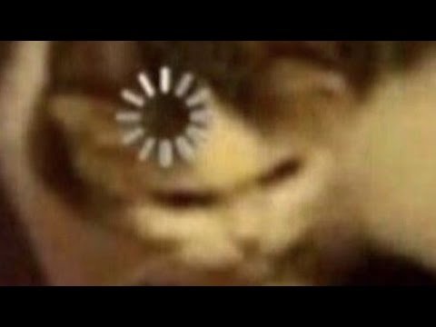 Кот загрузка Мем