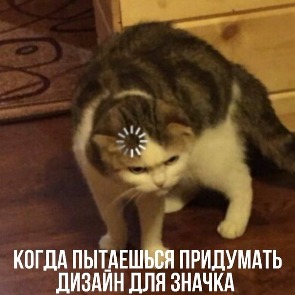 Коты с загрузкой на голове
