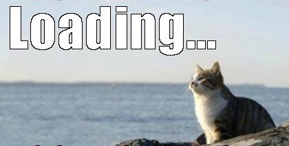 Мем loading с котом