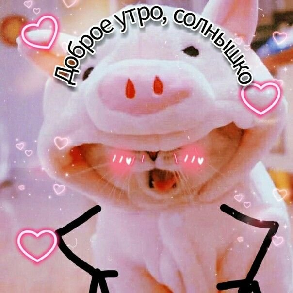 Милые пикчи с котами доброе утро